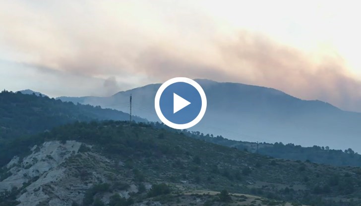 Над 150 души участват в овладяването на пожарите в Югозападна България