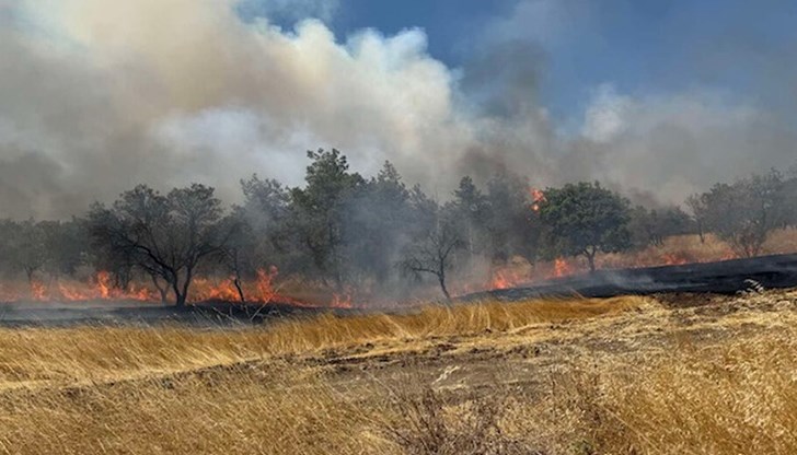 Димитър Николов благодари на всички за спасяването на Българово