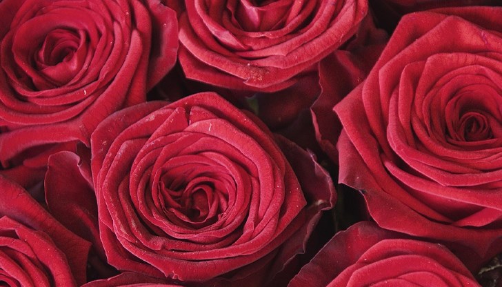 Хиляди майстори на дантела от 40 държави се събират в подбалканския град