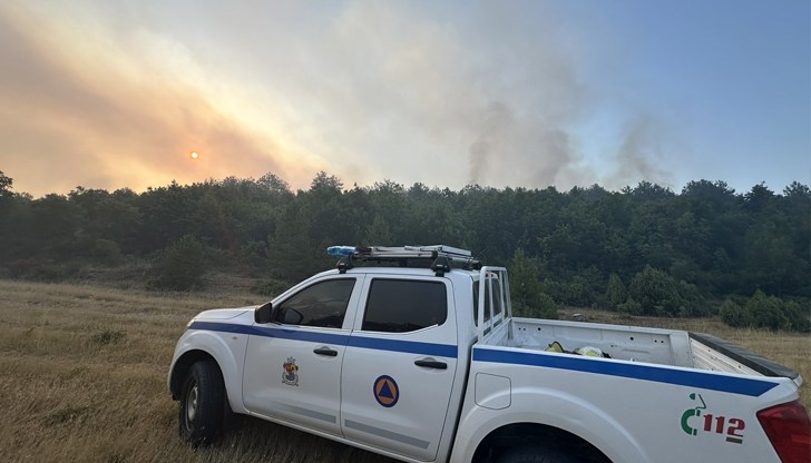 Над 60 човека се борят с новите пламъци над село Илинденци