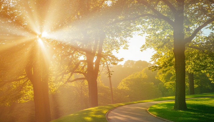 Температурите ще достигнат до 40 градуса в понеделник и вторник, след което постепенно ще спаднат