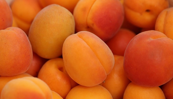 Кайсиите с ръст от над 7 процента, лимоните продължават да поскъпват