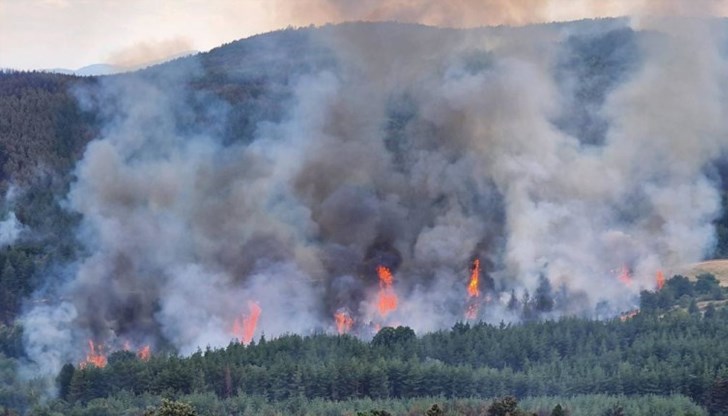 България все още няма специализирана летателна техника, въпреки парламентарното решение от 2024 година