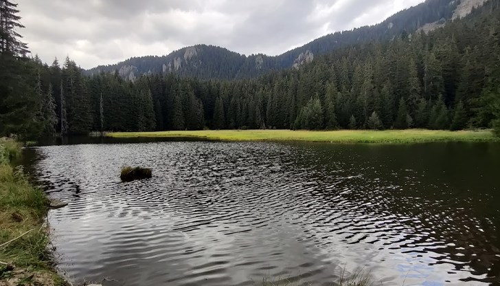 Пловдивски подводен клуб и учени се борят да запазят уникалната природна красота в Родопите