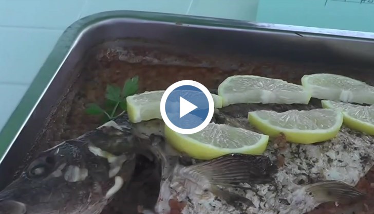 Амурът беше в центъра на 11-ото издание, а Hell's Kitchen шампионът Мартин Методиев готви традиционната чорба