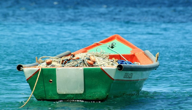 Морската гореща вълна "Петното" унищожи екосистемите в Тихия океан за три години