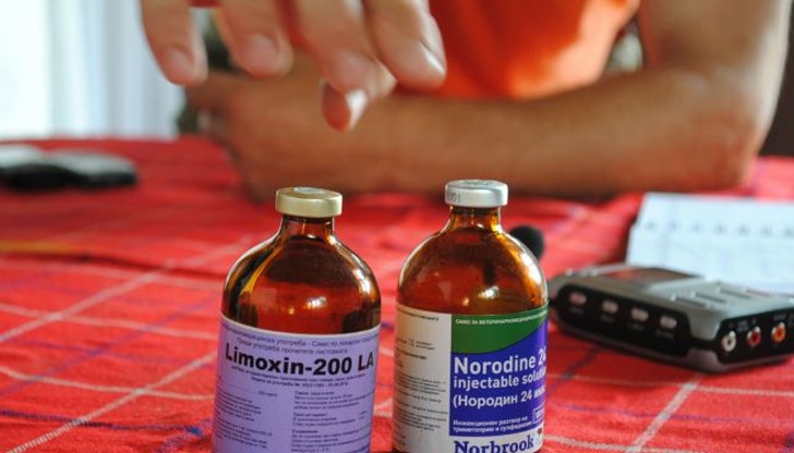 Ветеринарният лекар алармира, че използваната в момента ваксина не защитава от актуалния щам на заболяването Ветеринарният лекар алармира, че използваната в момента ваксина не защитава от актуалния щам на заболяването