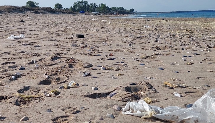 Морските течения носят замърсяване от Русия, Турция и Румъния