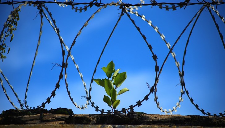 Съдът одобри споразумение за ефективна присъда от осем месеца