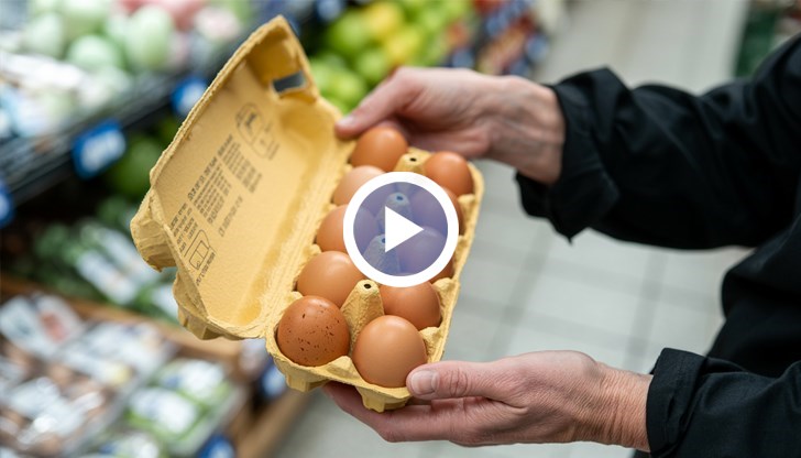 Председателят на Съюза на птицевъдите предупреди за повишена административна тежест за бизнеса