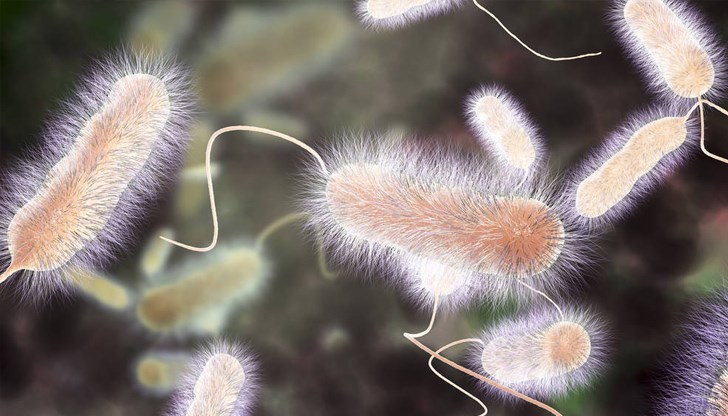 Охладителни кули разпространиха смъртоносна болест в Харлем