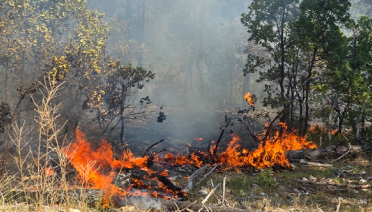 Огнената стихия в Рупите е локализирана, но дежурни групи остават на място за наблюдение