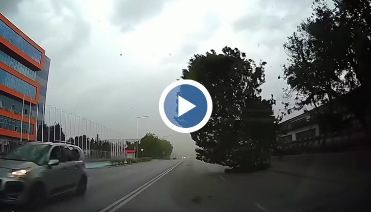 Шофьорът умело избягна сблъсък на улица "Потсдам" по време на вчерашния шквал