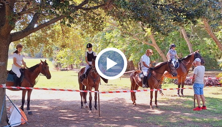 Състезатели от Русе се борят за медали заедно с участници от още четири града