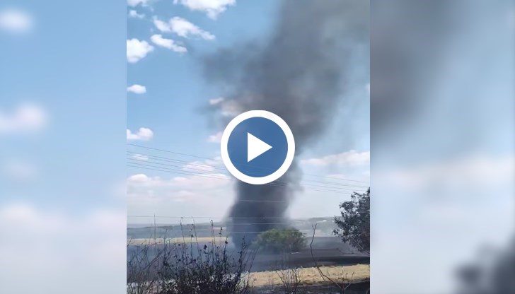 Изгорялата от пожара растителност създаде условия за необичайното явление