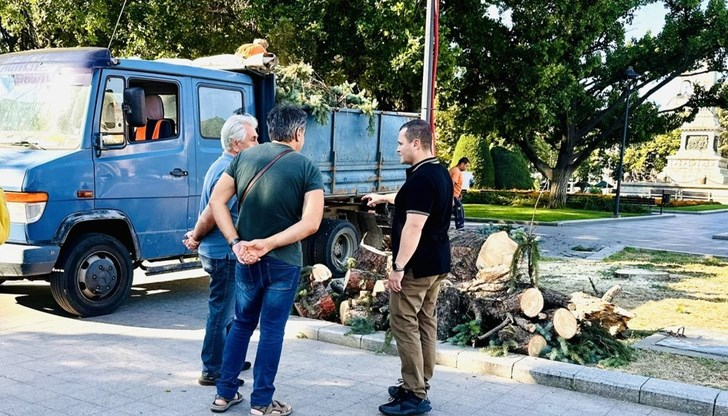 Тези, които саботират добрите ни намерения чрез “зелени” процедурни хватки, трябва да носят отговорност