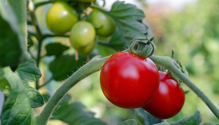 Обяснението се крие в комбинация от фактори Обяснението се крие в комбинация от фактори