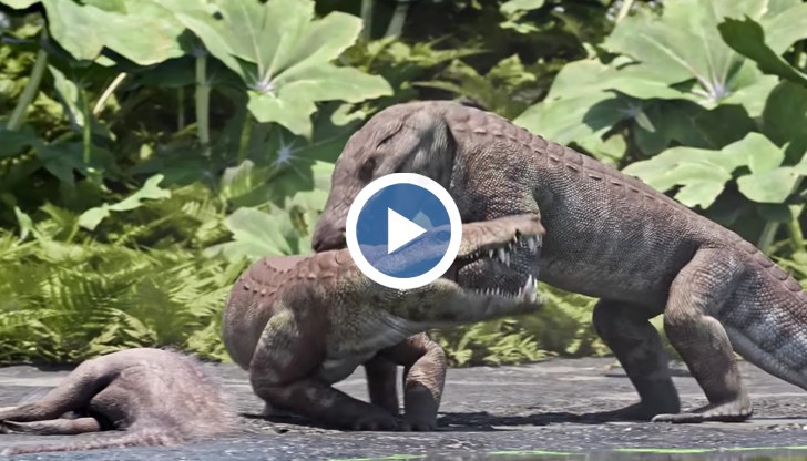 Kostensuchus atrox е достигал дължина от около 3,5 метра и е тежал около 250 килограма