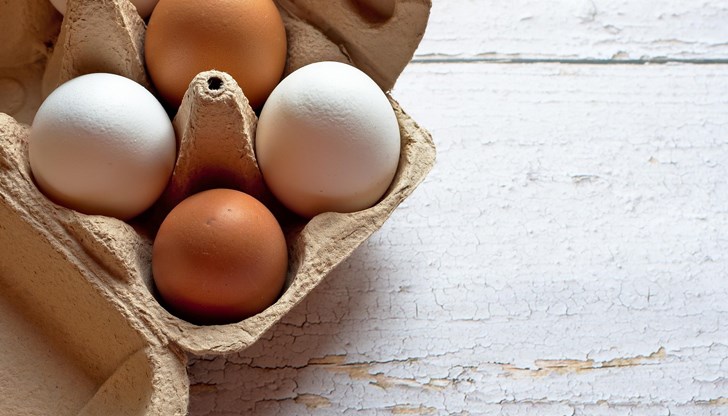 Ново изследване разкри тревожни резултати