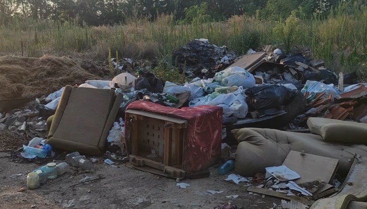 Община Русе предава случая към дирекция "Екология" за проверка