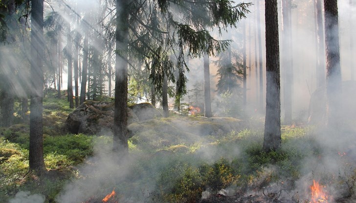По-голямата част от пожарите са причинени от човешки действия По-голямата част от пожарите са причинени от човешки действия