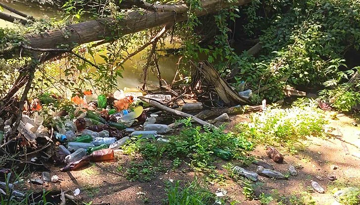 Природен парк "Русенски Лом" е застрашен от затлачване на реката