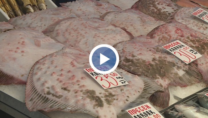 Цената спада до 20 лева за килограм заради изобилието в Черно море