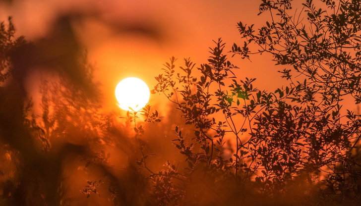 Температурите в Русе ще достигнат до 37 градусаГорещо и слънчево