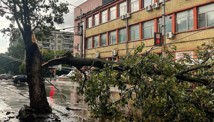 Жители на село Радишево описаха стихията като силен смерч, прекъснато