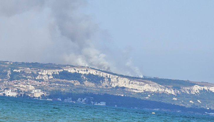 Огънят обхвана 10 декара и бързо се разраства заради силния