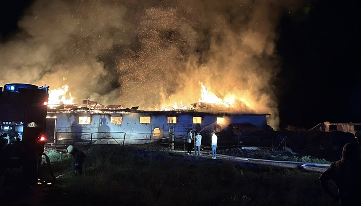 Голяма част от кравите са останали в горящата сградаПожар избухна