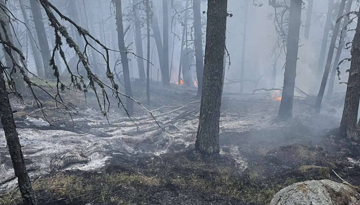 Над 100 души се борят с огъня, площта надхвърля 100