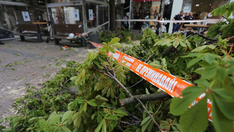 Детето е с леки драскотини по лицето, очевидци критикуват лошото