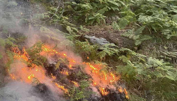 Военен хеликоптер и над 40 души се борят с огнената