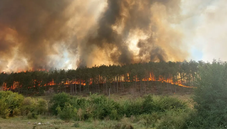 34 пожара обхванаха територията на ЮИДП през юли, човешката небрежност