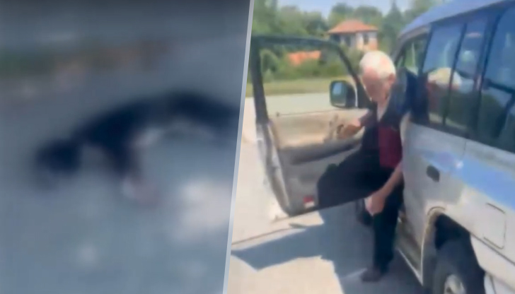 82-годишният мъж е задържан, животното се лекува в Плевен82-годишен мъж