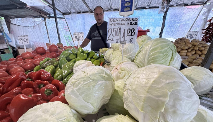 Българската стопанска камара предупреждава за масови технически проблеми с касовите