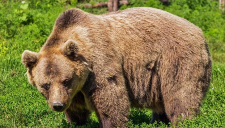 Директорът на екоинспекцията призовава за проверка на информацията преди споделяне