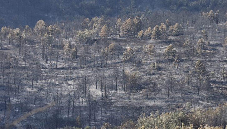 На този етап пожарът няма да се обявява за потушенНяма