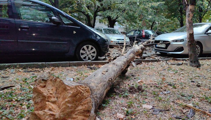 Инцидентът стана около 1:30 часа в блок ШаблаСилен трясък и