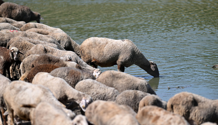 Конфликтна среща без резултат - големите ферми се страхуват от