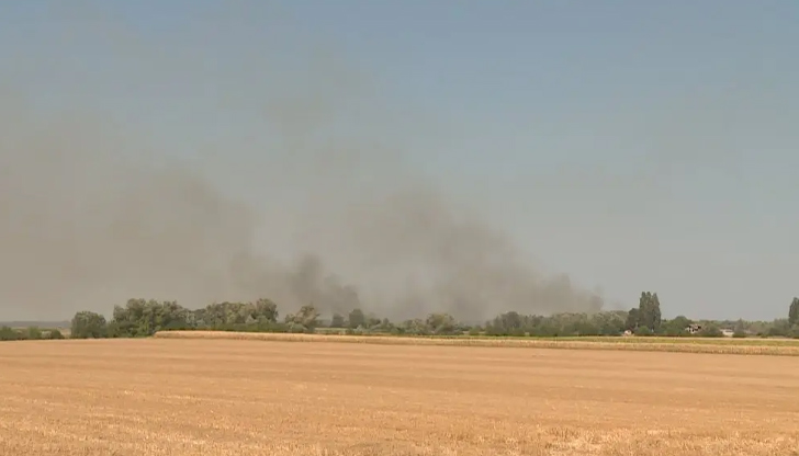 Два дни отне гасенето на огъня в Калимок - Бръшлен,