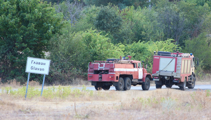 Огънят засегна ниви, пасища и гора29-годишен криминално проявен мъж е