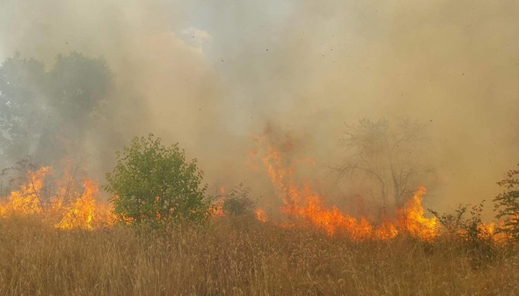 Горяха сухи треви и храсти на разклона на бул. България