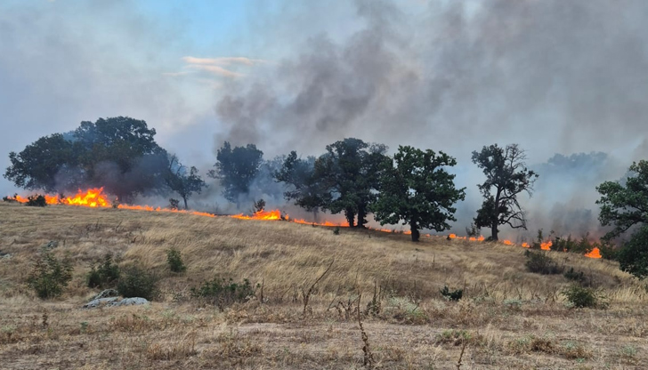 Огънят край село Момино обхвана 1000 декара горски площи и