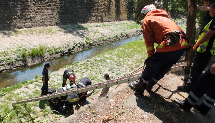 Спасителните служби го извадиха безопасно, транспортираха го до болницаМъж падна