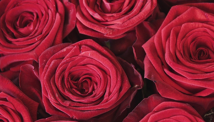 Хиляди майстори на дантела от 40 държави се събират в