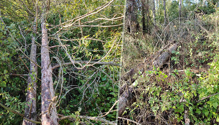 Бурята с ветрове над 90 км/ч остави помпената станция без