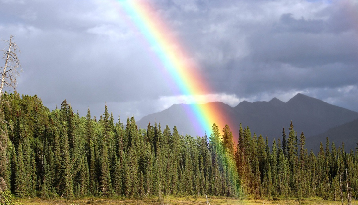 Дъжд и гръмотевици се очакват в крайните северозападни райониСлънчево време