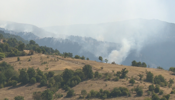 Дъждът ограничи огнената стихия в националния паркЧетвърти ден продължава борбата
